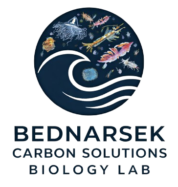 Logo - Nina Bednaršek