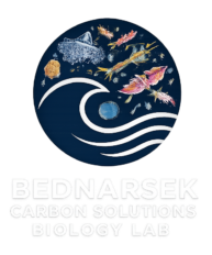 Logo - Nina Bednaršek