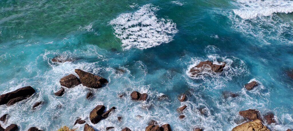 What I do - Nina Bednaršek